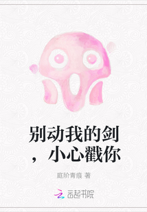 别动我的剑，小心戳你封面
