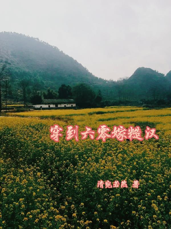 穿到六零嫁糙汉封面