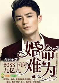 婚命难为,BOSS下聘9亿9封面
