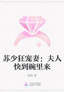 苏少狂宠妻：夫人快到碗里来封面
