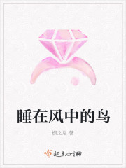睡在风中的鸟封面