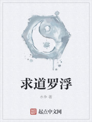 求道罗浮封面