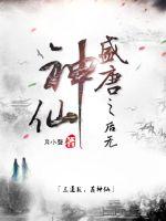 盛唐之后无神仙封面