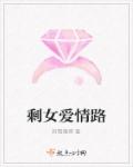 剩女爱情路封面