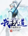异界之我主天道封面