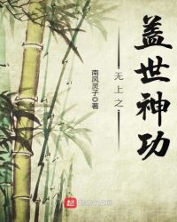 无上之盖世神功封面