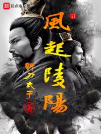 风起陵阳封面