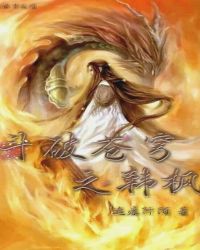 斗破之韩枫封面