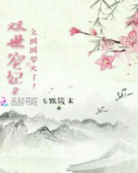 双世宠妃之城城要火了！封面