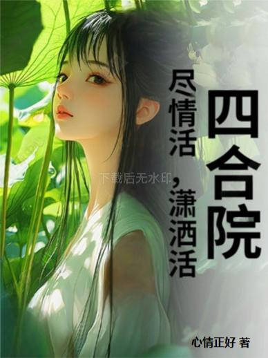 四合院尽情活，潇洒活封面