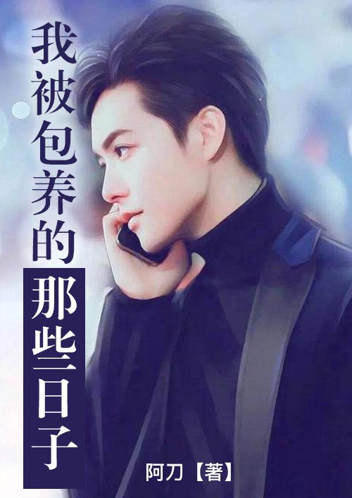 我被包养的那些日子封面