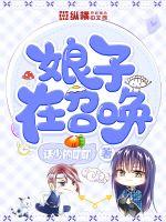 娘子在召唤封面