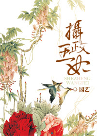 重生之摄政王妃封面