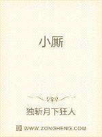 小厮封面