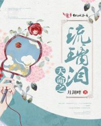 天命之琉璃泪封面