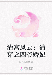 清宫风云：清穿之四爷娇妃封面