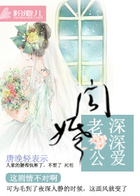 闪婚，老公深深爱封面