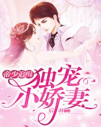 帝少追缉：独宠小娇妻封面