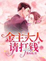 金主大人请打钱封面