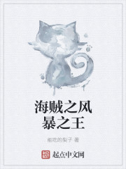 海贼之风暴之王封面