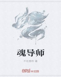 魂导师封面