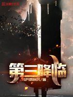 第三降临封面