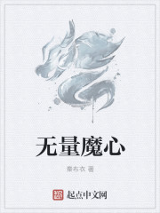 无量魔心封面
