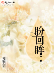 盼回眸封面