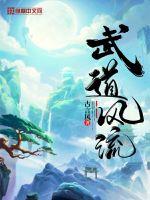 武道风流封面
