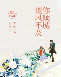 暖风不及你倾城封面