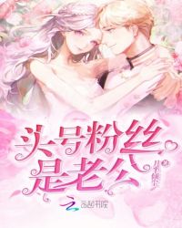 头号粉丝是老公封面