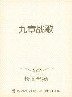 九章战歌封面
