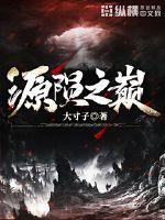 源陨之巅封面