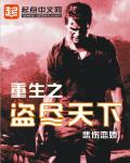 重生之盗尽天下封面