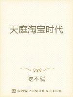 天庭淘宝时代封面