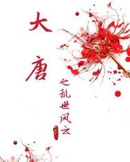 大唐之乱世风云封面