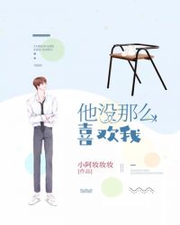 他没那么喜欢我封面