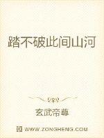 踏不破此间山河封面