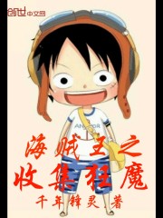 海贼之收集狂魔封面