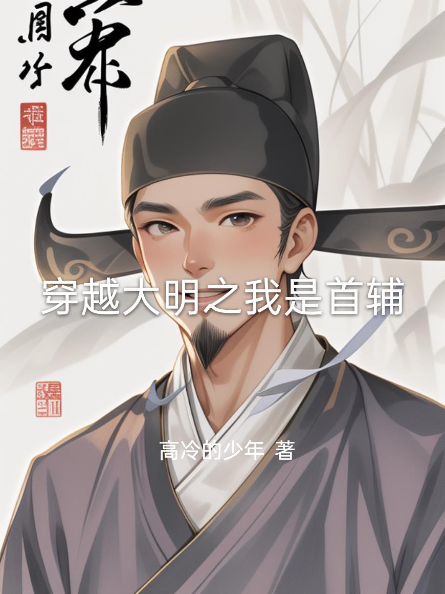 穿越大明之我是首辅封面