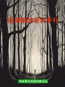 段海鹏的奇异手札封面