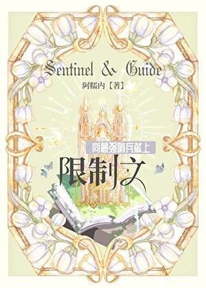 向最强哨兵献上限制文封面