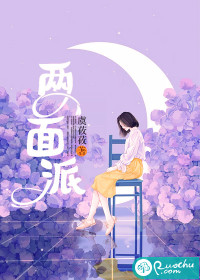 两面派封面
