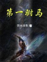 第一驸马封面