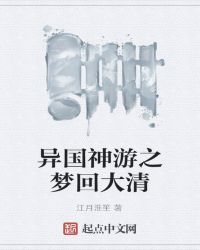 异国神游之梦回大清封面
