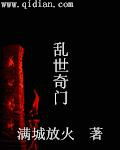 乱世奇门封面
