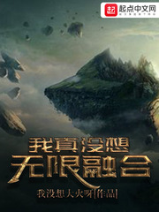 我真没想无限融合封面