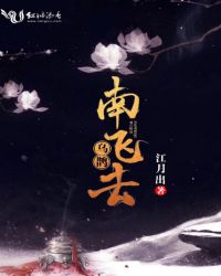 乌鹊南飞去封面