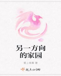 另一方向的家园封面