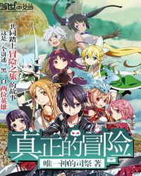 真正的冒险封面